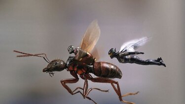 Secuela de ‘Ant-Man’ pone a las mujeres al frente del proyecto
