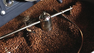 Desarrollar cadenas de valor impulsaría la venta de café