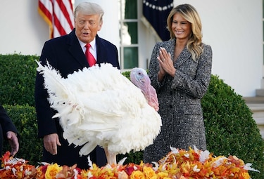 Trump indulta a su último pavo en la Casa Blanca y no menciona nada de su derrota