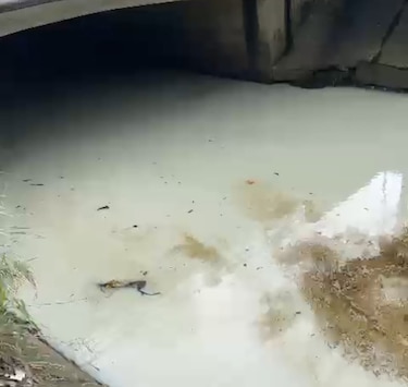 Multan con casi $10 mil a taller de chapistería por contaminación del río Matasnillo