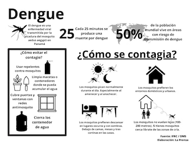 Día internacional contra el Dengue