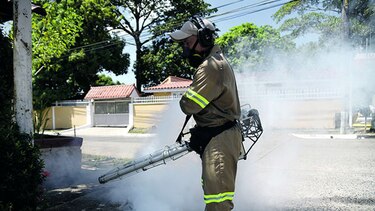 Confirman 980 casos de dengue en el país