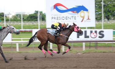 Luna Bonita se impuso en la carrera Club Rotario de Panamá '100 años'