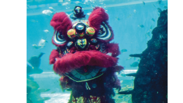 Llega el tigre de agua