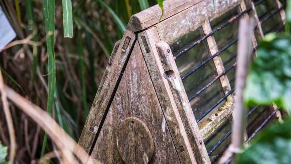 Qué son las ingeniosas cajas de Ward y cómo transformaron la economía mundial