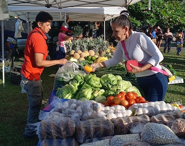 Agroferias: el IMA anuncia lugares de venta para este miércoles 1 de julio