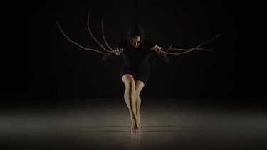 Viene lo mejor de la escena