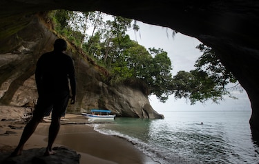 Fallo de la CSJ blinda la  protección del área protegida Isla Escudo de Veraguas 