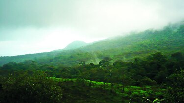 Concesión está dentro de reserva