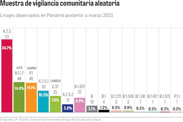La variante predominante en los casos de Covid-19 es endémica  