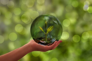 Preparan la bolsa del mercado de carbono para atraer capitales