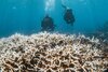 Océanos en peligro: cuando el clima cambia, la Tierra responde