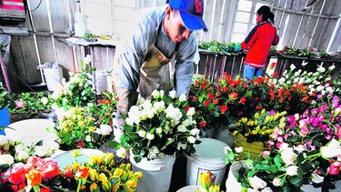 Aumento arancelario, a partir del martes