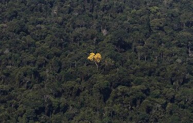 Científicos anuncian futuro sombrío si no se hace nada contra el calentamiento