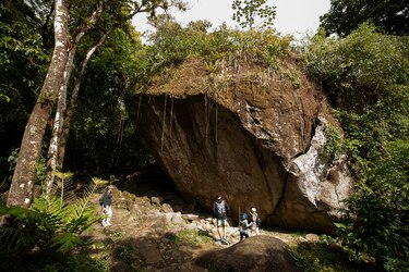 ¿Por qué el seguro al turista aún no está disponible y qué hace falta para activarlo?