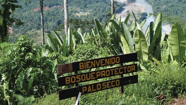 Exploran APP para hidro de Bocas del Toro