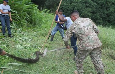 Agentes del Senan limpian cementerio de Corozal