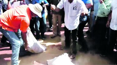 Productores protestan por excesivas importaciones