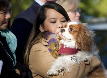 Enfermera que superó el ébola se reúne con su perro que estaba en cuarentena