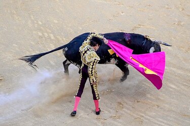 Corte Suprema de México anula decreto que consideraba las corridas de toros como patrimonio cultural