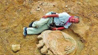 Hallan huella de un dinosaurio gigante