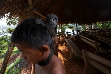 Fotografía y caricatura de Corprensa triunfan en los Premios UNICEF–CELAP 2025