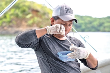 Rodnyel Arosemena y la danza evolutiva de los peces