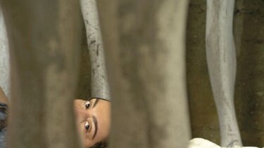 Cuando el sistema patriarcal invisibiliza ciertos temas