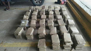 DIJ se incauta de 198 paquetes de marihuana en Bella Vista