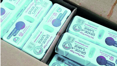 Decomisan cajas de huevos importados