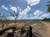 La Tierra no celebra, resiste