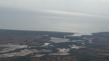 Mundo Verde recomienda plan para reforestar zona costera del Arco Seco