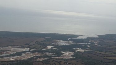 Mundo Verde recomienda plan para reforestar zona costera del Arco Seco