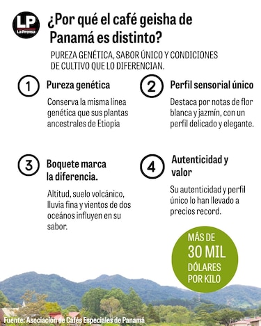 El árbol del exclusivo café geisha panameño conserva la pureza genética original de África
