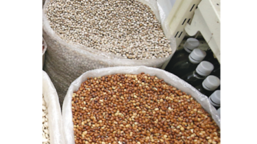 IMA acuerda compra de frijol a  productores chiricanos