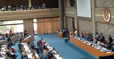 Reunión preparatoria de COP sobre biodiversidad concluye con avances marginales