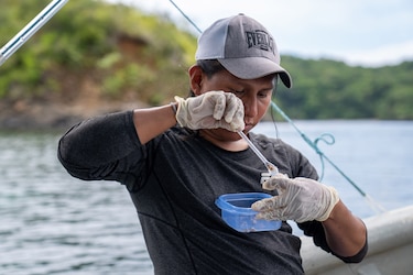 Biólogo revela evolución alimentaria de peces en Panamá