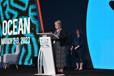 Como parte del Día Mundial de la Vida Silvestre, el gobierno británico se compromete a proteger los océanos y la vida marina