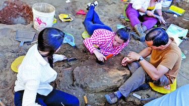 Excavaciones en busca de la historia