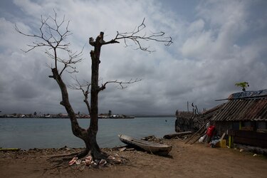 OMS: ‘Si nuestro planeta fuera un paciente, estaría ingresado en cuidados intensivos’