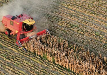 Cambio climático deja su huella en cultivos europeos