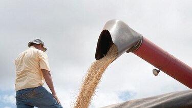 Granos amenazados por guerra comercial