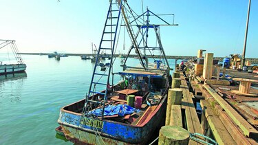 Sector pesquero intenta reflotar