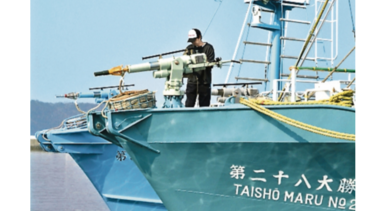 Japón pide que se levante veda a la caza de ballena