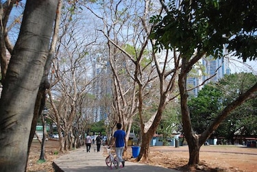 Parque Omar cerrará el próximo miércoles por fumigación