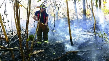 Incendio afectó reserva La Yeguada
