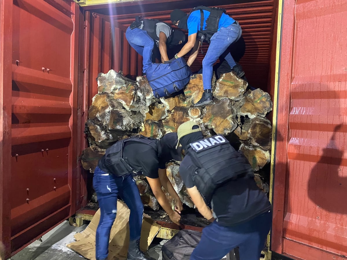 En menos de 24 horas la Policía decomisa cerca de dos toneladas de ...