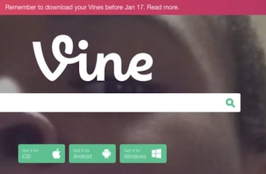 Elon Musk trabaja en el regreso de Vine, con capacidades de IA integradas