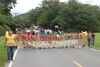 Organizan tributo a la rana dorada en El Valle de Antón