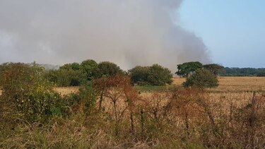 Alcaldía de Las Tablas ordena cierre temporal del vertedero  tras incendio